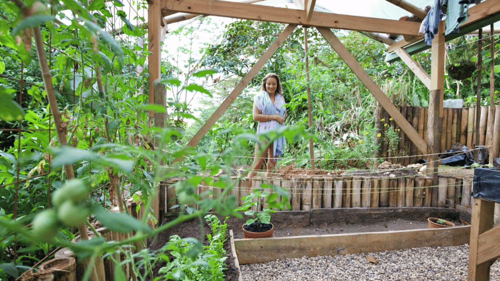 What Is Homesteading?