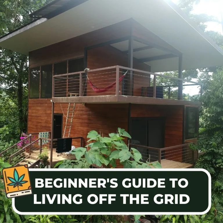 Beginner's Guide to Living off the Grid