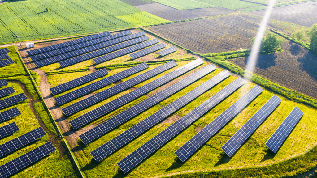 Field of solar panels 