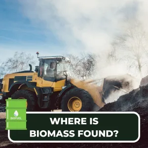 sourcing biomass