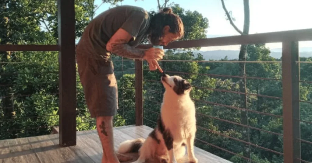 A man and his dog on a balcony in the jungle
