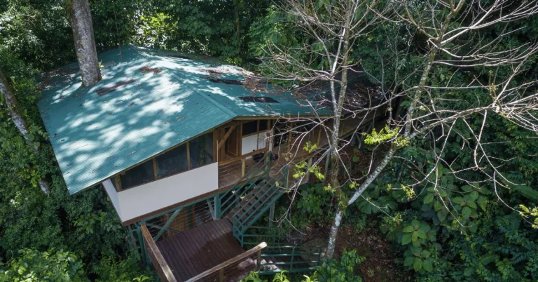Paraiso off-grid rainforest home at Finca Bellavista
