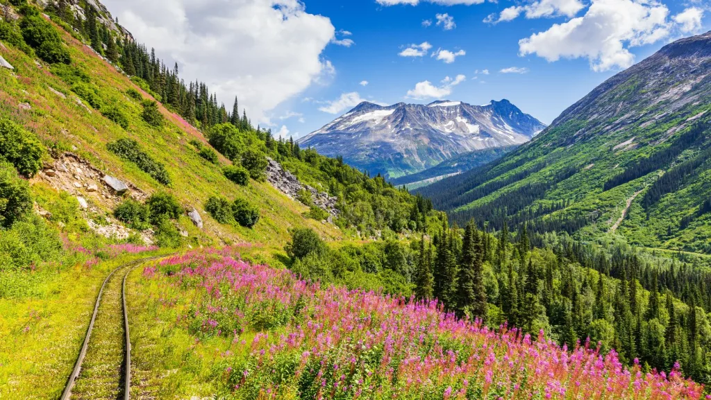 Scenic view of the Alaska Range