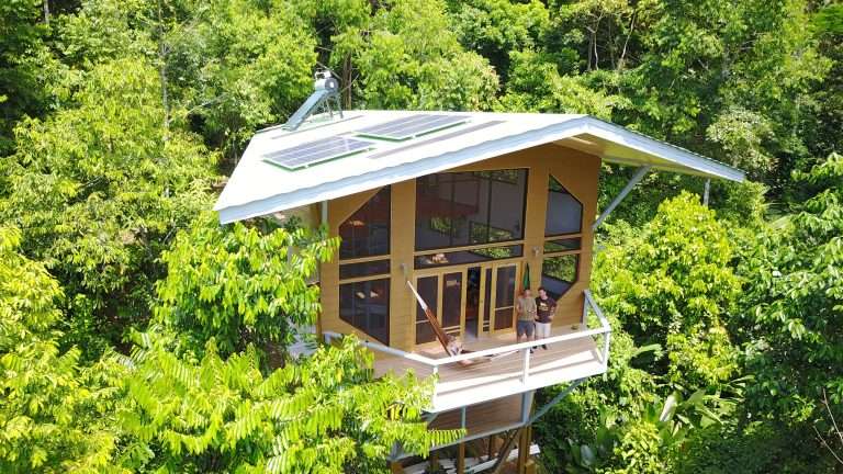 Tamandua: Solar-Powered Off-Grid Treehouse at Finca Bellavista