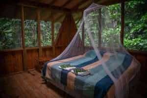 A king-sized bed in a wooden cabin