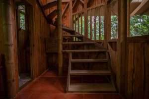 Wooden stairs in cabin