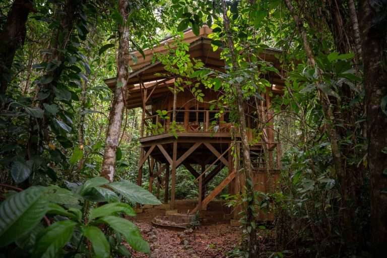 Perezosa: Two-Story Off-Grid Rainforest Cabina at Finca Bellavista