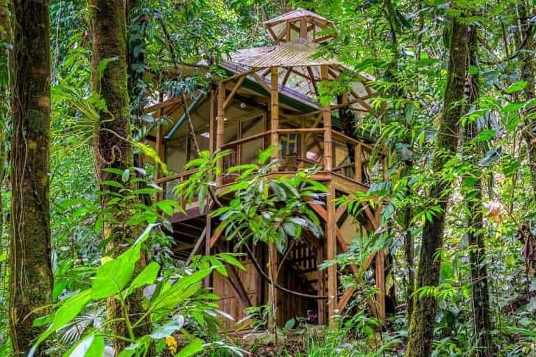 Colibri: Off-Grid Rainforest Cabina at Finca Bellavista