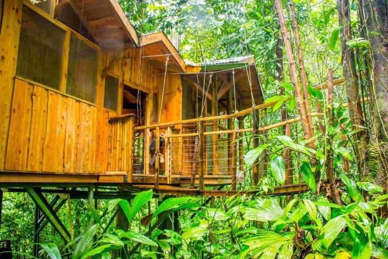 Fila Tortuga: Rainforest Treehouse at Finca Bellavista