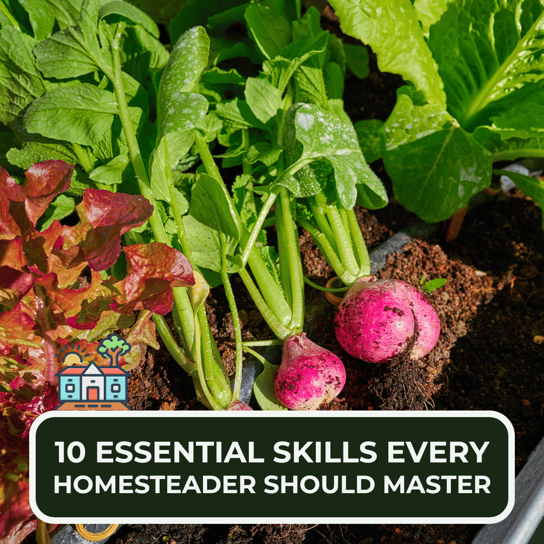10 Essential Skills Every Homesteader Should Master: Expertise Every ...