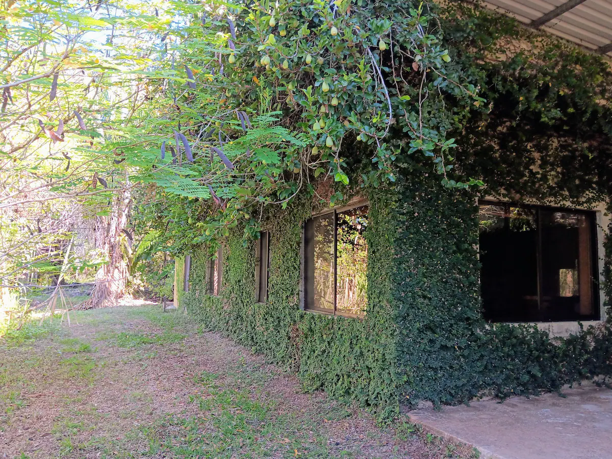 Off grid in an apartment? : r/preppers - Reddit - Off Grid Apartment Renovation With Edible Landscaping