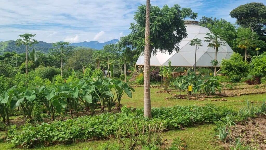 Alegría Village Rentals, Stays & Properties | San Mateo, Costa Rica