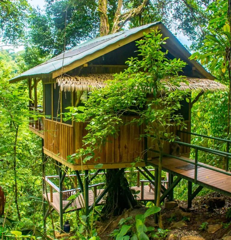 El Fenix Treehouse: Split-Level Off-Grid Stay at Finca Bellavista